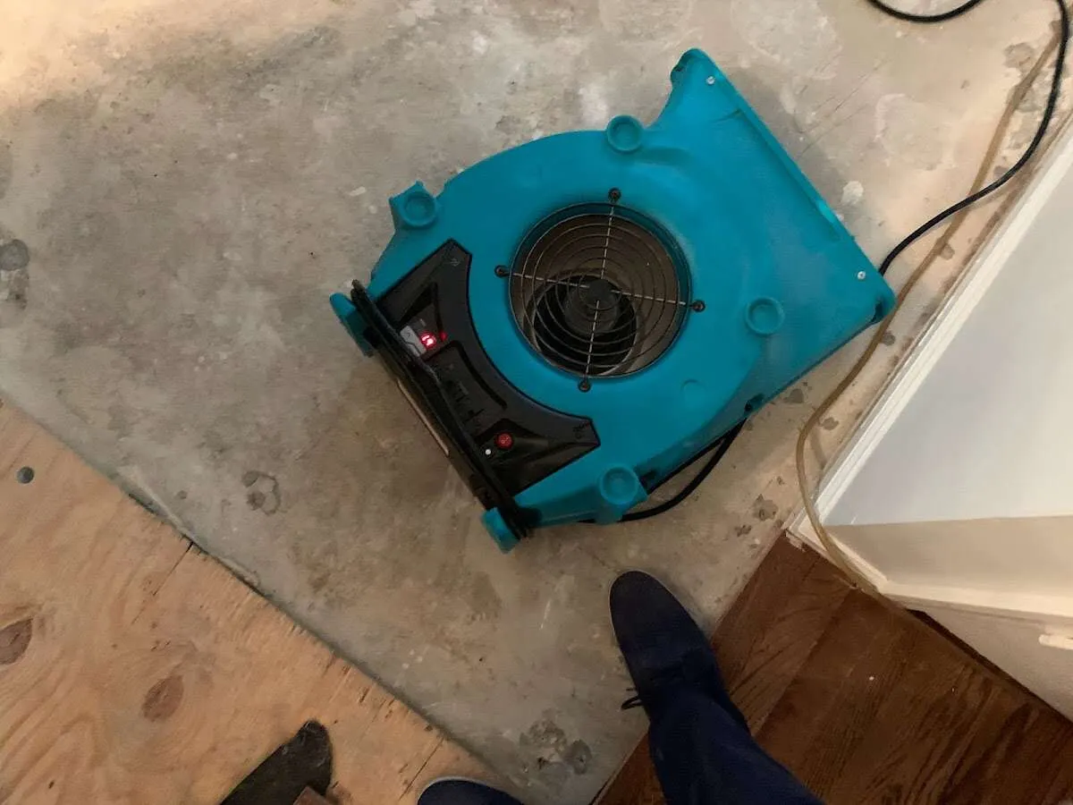 Air mover drying subfloor during Commercial Water Damage Restoration in Calverton